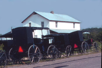 Amish Model