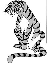 tiger
