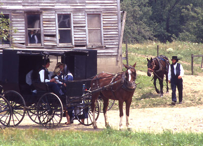 Amish farm