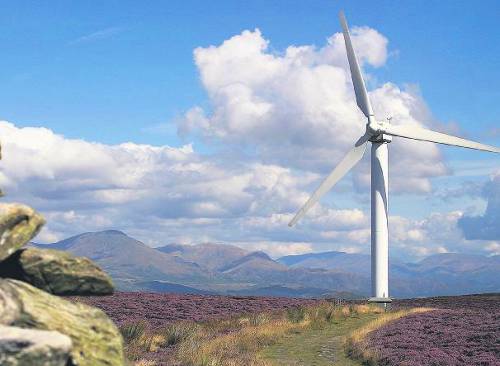 Insects can halve wind-turbine power