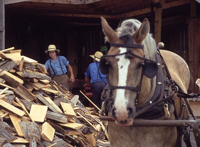 Amish sawmill