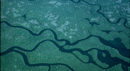 Aerial view of the Everglades